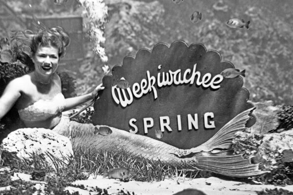 Outdoor image of sign for town of Weekiwachee Springs