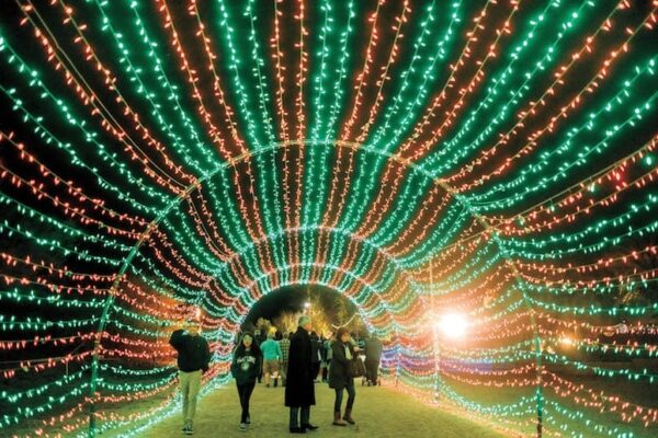 Image of a Christmas light tunnel in the desert