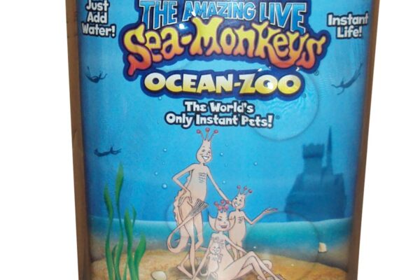 Image of Sea Monkey's in a display package