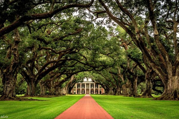 Old Southern mansion with Pecan Trees discussing Thomas Jefferson