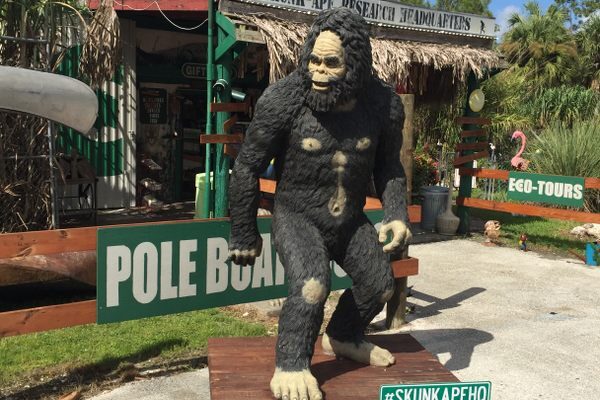 Unique image of big foot otuside of a store in Florida