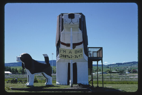Dog Bark Park, Cottonwood, Idaho outdoor view image and picture