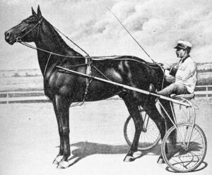 An old engraving of Dan Patch and his rider.